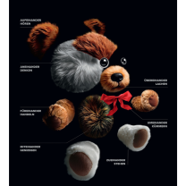Frank -Solibär Teddybär in Einzelteilen