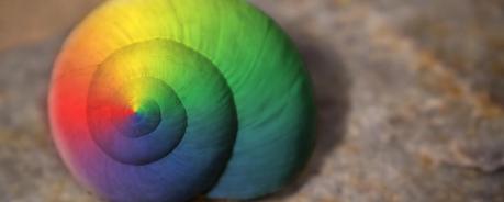 © Alexandra - stock.adobe.com