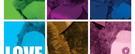 Bärenstark - Love IS Colorful Bunte Blöcke mit Solibär im Hintergrund