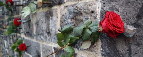 Rose Denkmal