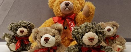 Bärchen 2018 und 2019