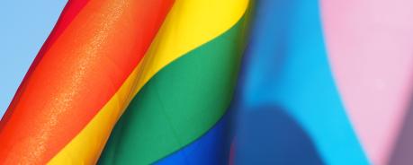 Trans Rainbow Flagge Flag